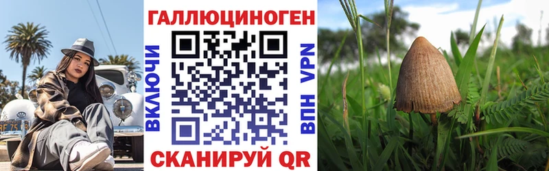 сколько стоит  Шелехов  Галлюциногенные грибы MAGIC MUSHROOMS 